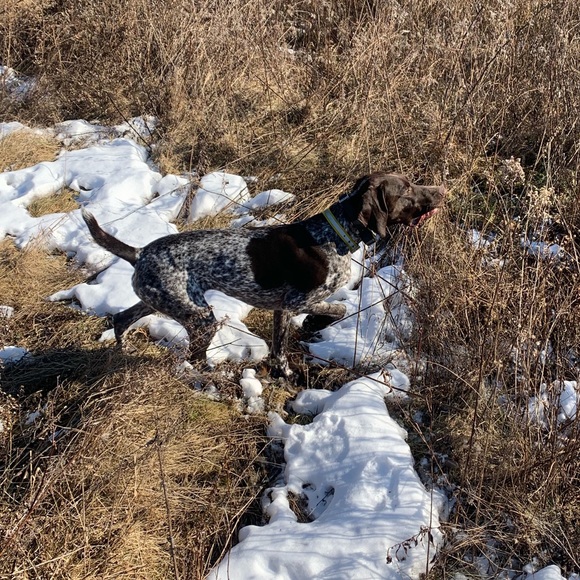 Meet your Posher, Kelsey - Picture 8 of 8